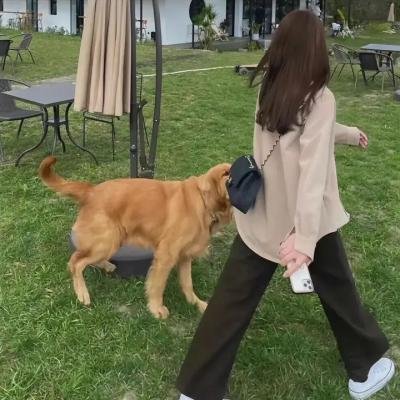 和气蔼蔼